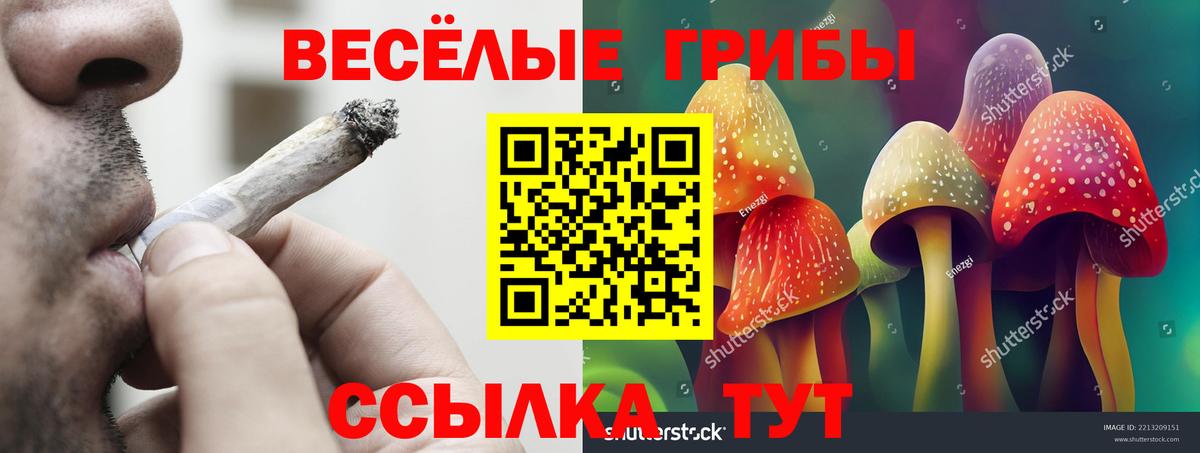 Псилоцибиновые грибы MAGIC MUSHROOMS  Вход с VPN  Галлюциногенные грибы мицелий  Минеральные Воды 